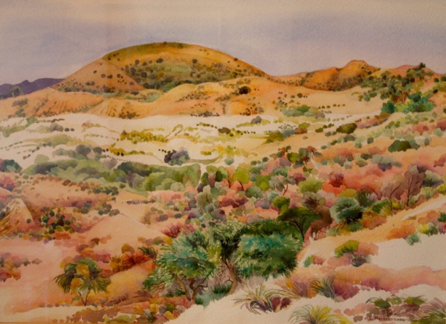 The Kalahari