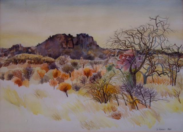 Nwanedi